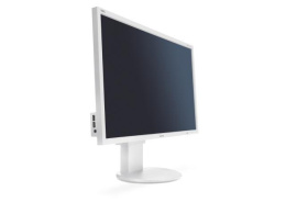 NEC EA243WM Monitor 24