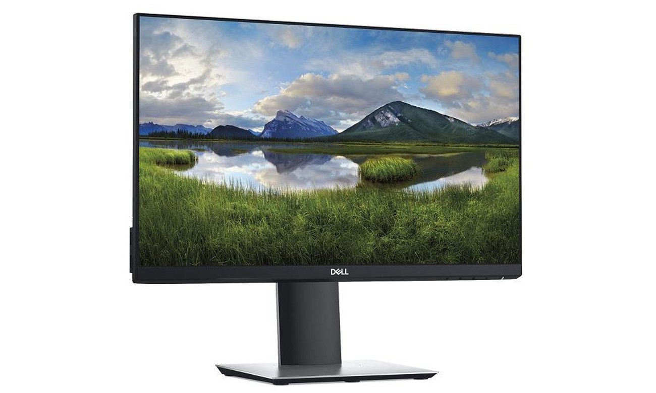 Monitor Dell P2319H 23